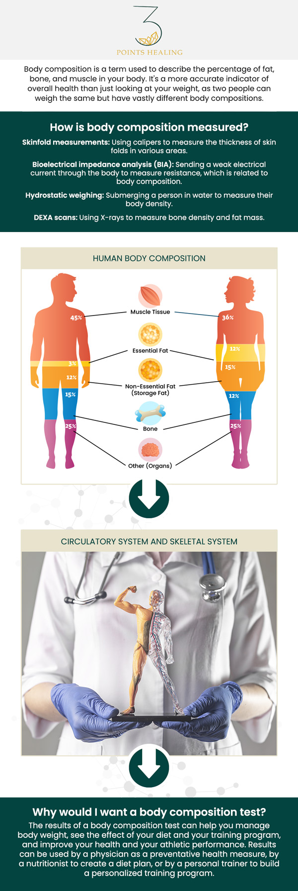 Body composition analysis provides a detailed assessment of fat, muscle, bone, and water levels, offering a clearer picture of overall health beyond just weight. This insight helps tailor personalized wellness plans for weight management, fitness optimization, and disease prevention. Dr. Mina Liu utilizes advanced techniques to guide patients toward better health and balanced well-being. For more information, contact us or book an appointment. Our clinics are conveniently located in Olympia, WA, Federal Way, WA, and Woodland Hills, CA. Body composition analysis provides a detailed assessment of fat, muscle, bone, and water levels, offering a clearer picture of overall health beyond just weight. This insight helps tailor personalized wellness plans for weight management, fitness optimization, and disease prevention. Dr. Mina Liu utilizes advanced techniques to guide patients toward better health and balanced well-being. For more information, contact us or book an appointment. Our clinics are conveniently located in Olympia, WA, Federal Way, WA, and Woodland Hills, CA.